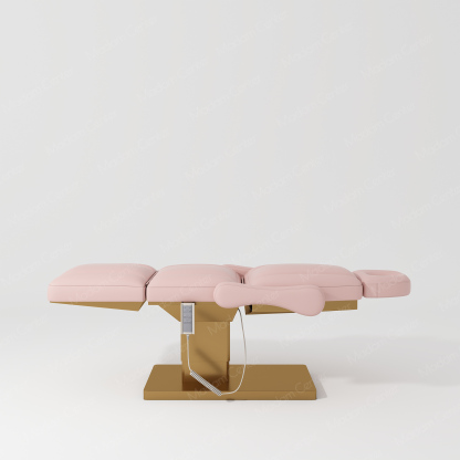 0113 Electric Beauty Bed | Adjustable Lifting Reclining-madamcenterBeauty & Lash.,Beauty Bed.,热销,美容床,Beauty Bed