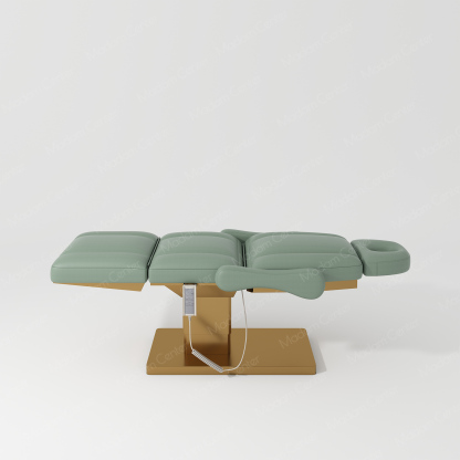 0113 Electric Beauty Bed | Adjustable Lifting Reclining-madamcenterBeauty & Lash.,Beauty Bed.,热销,美容床,Beauty Bed