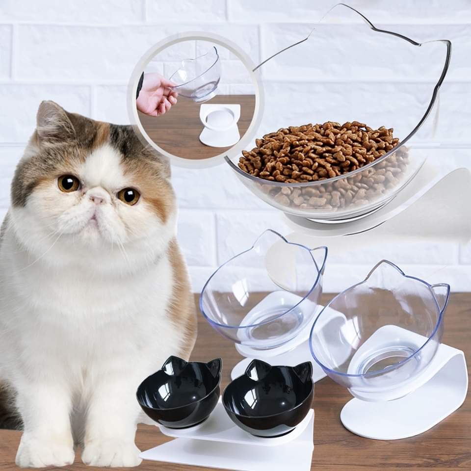 Orthopedic Anti-Vomiting Cat Feeder (BUY 2 GET FREE SHIPPING)