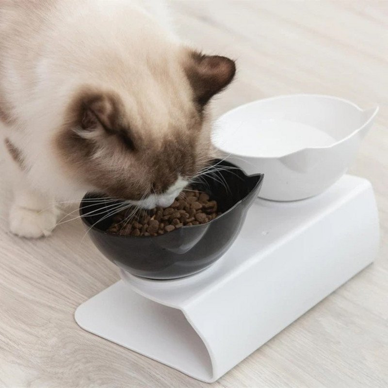 Orthopedic Anti-Vomiting Cat Feeder (BUY 2 GET FREE SHIPPING)