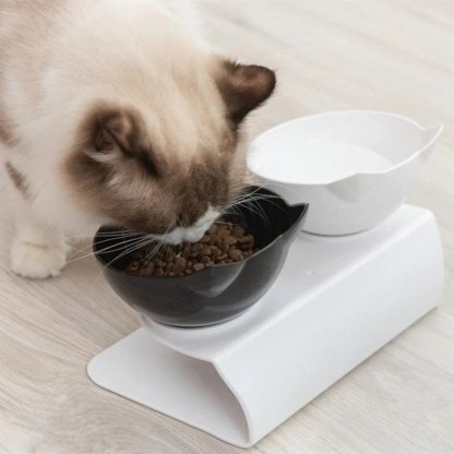 Orthopedic Anti-Vomiting Cat Feeder (BUY 2 GET FREE SHIPPING)