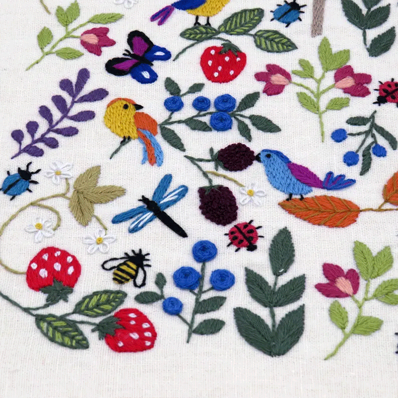🌿 Birds, Insects, and Berries Hand Embroidery Kit