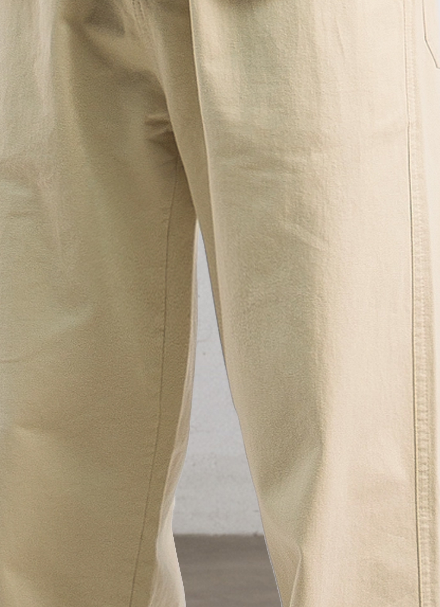 Relaxed Pleated Trousers-Penrtair
