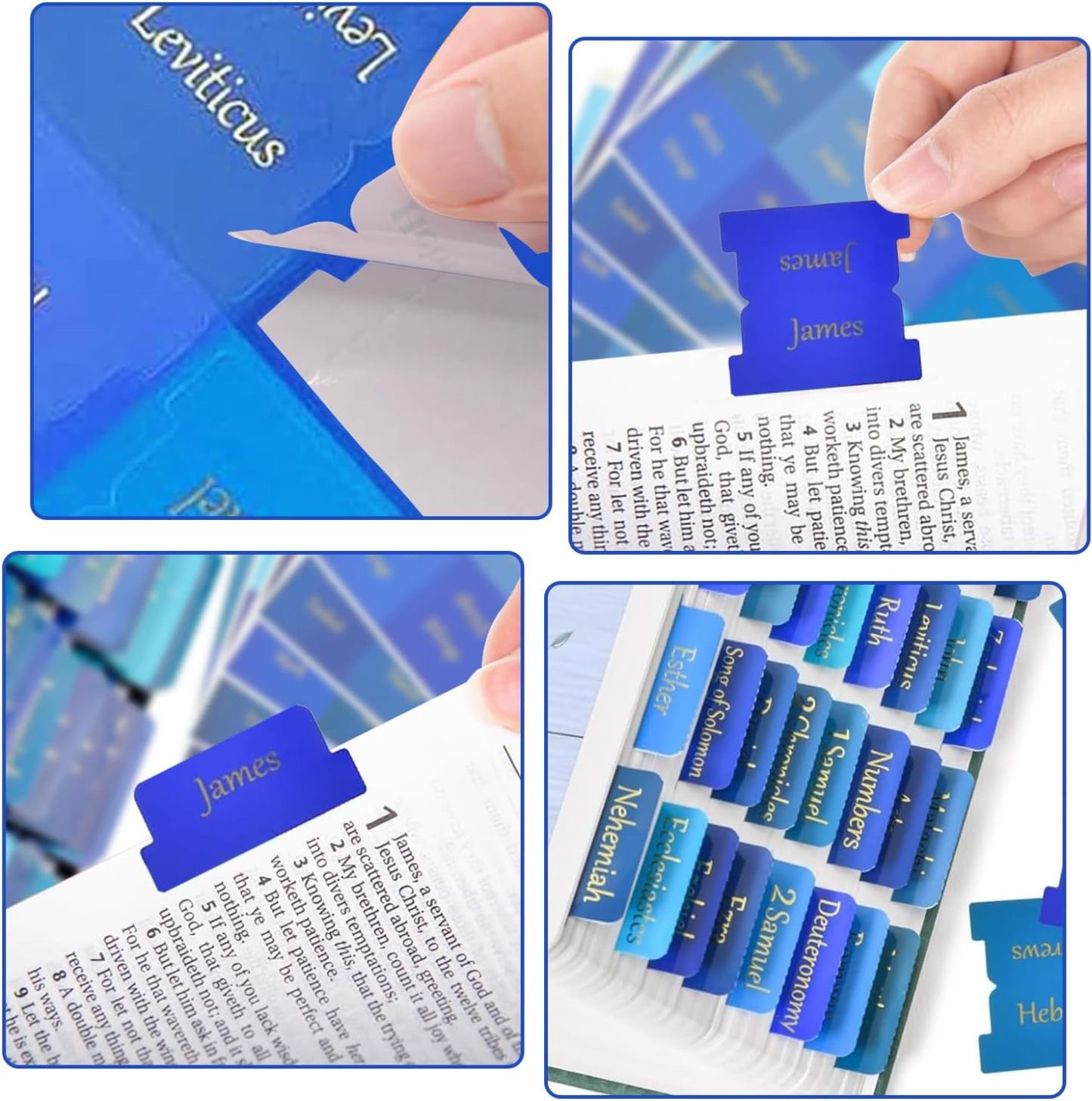 Gold Stamp Bible Tabs Set | Color - Printed Glasine Tabs for Old & New Testament Study