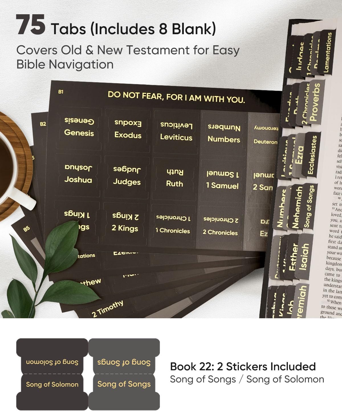  75 Large Print Tabs & Bookmark for Men & Women |  Easy - Navigate Study Bible Accessories