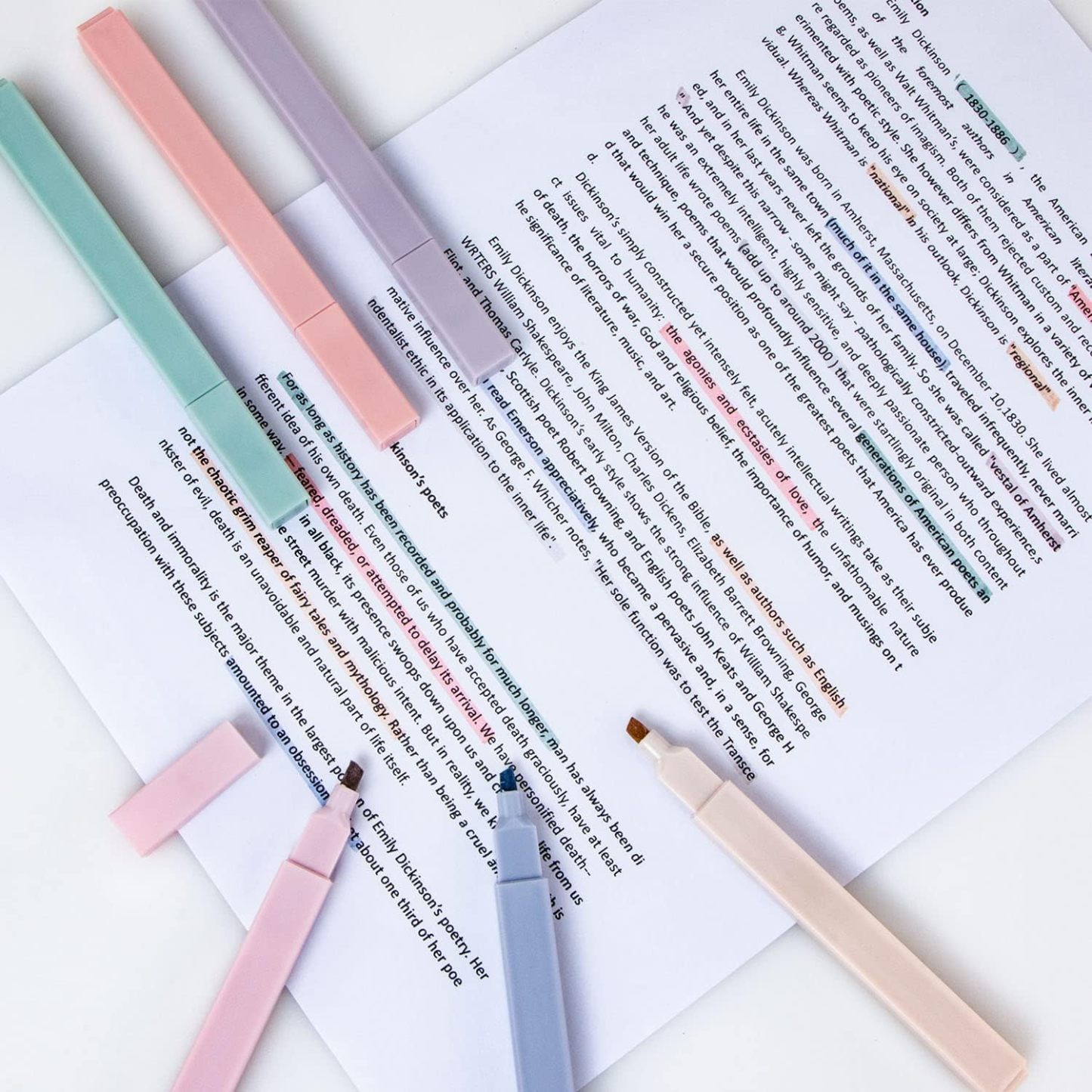 6 - Pack Mild Pastel Highlighters for Bible Tabs 