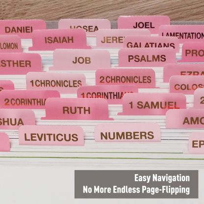 Elegant Pink Bible Tabs for Women | Large Print  Book Index Tabs for Catholic & ESV Bibles