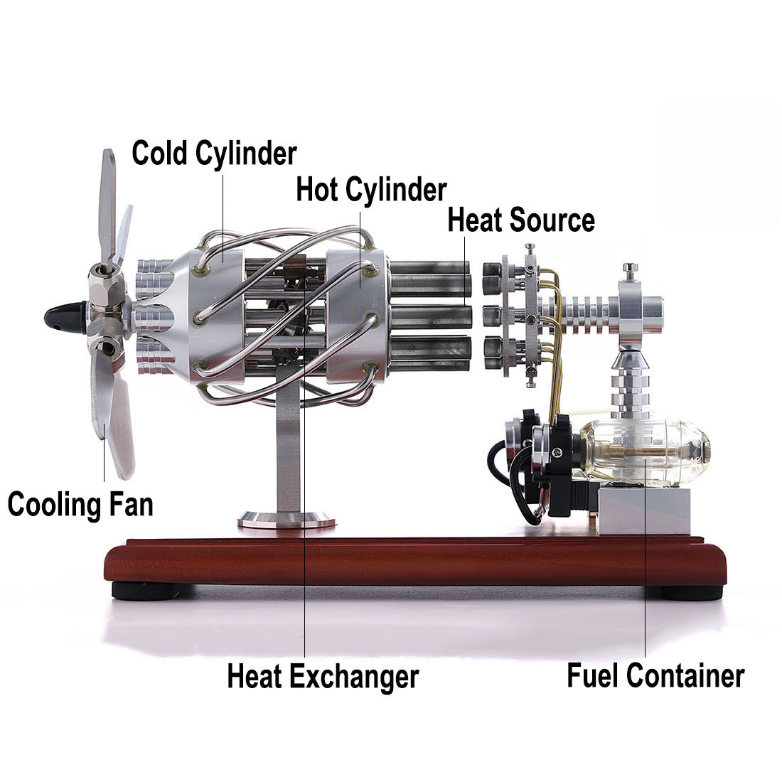 Stirling 16 Cylinder Engine Model Engine Model Kit for Science Enthusiasts & Education Generator Toy Engine