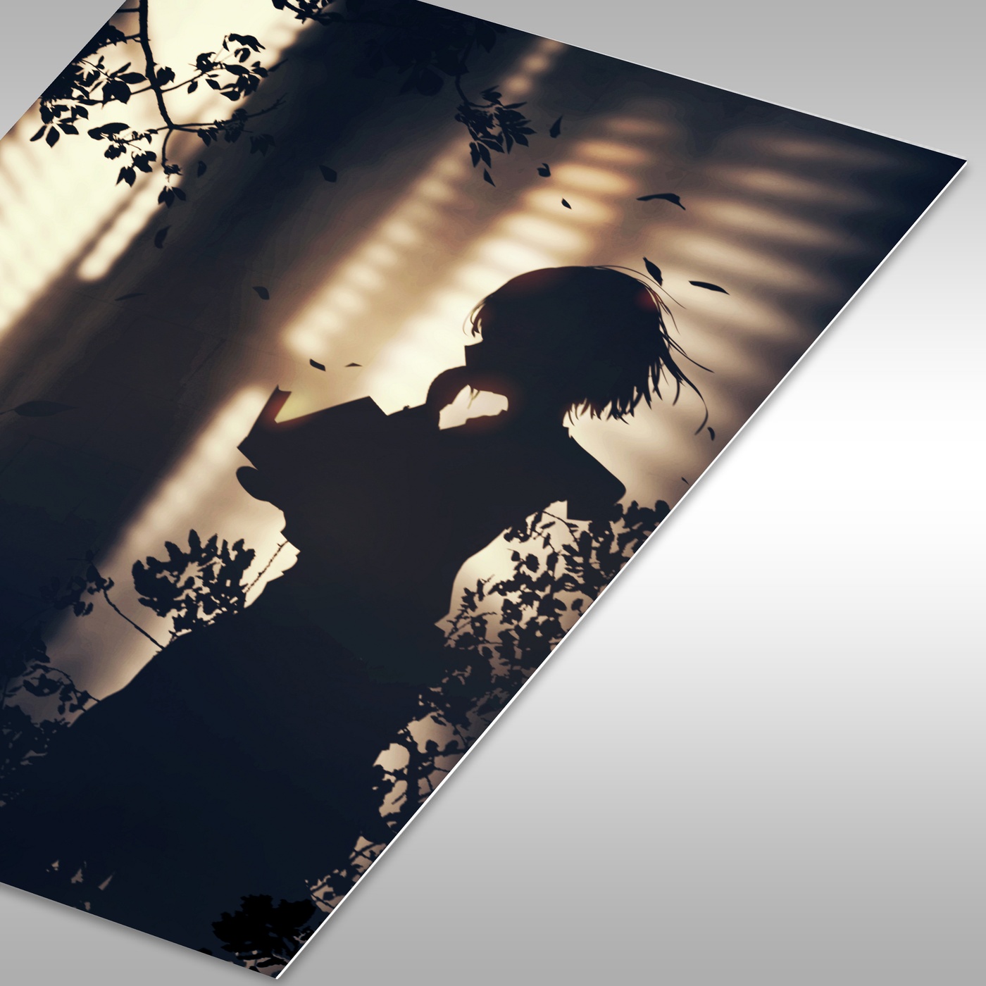 Shadows and Leaves