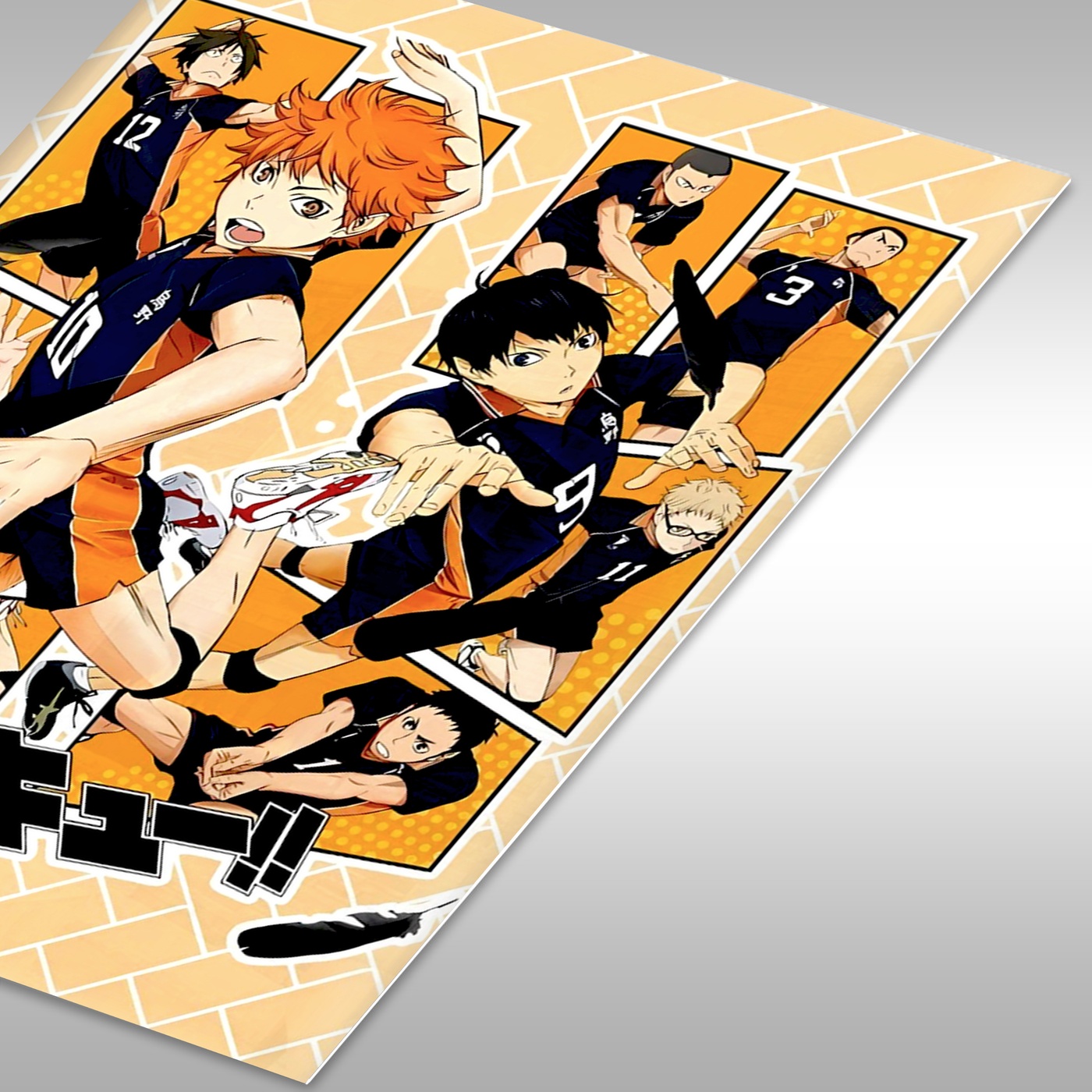 Haikyuu Team Action Shot