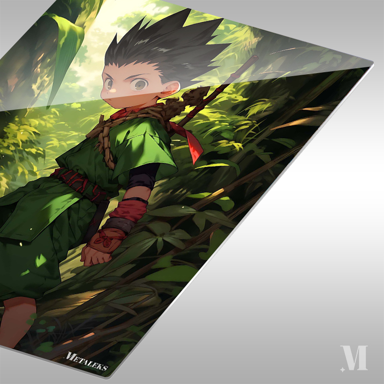 Gon-Hunter x Hunter