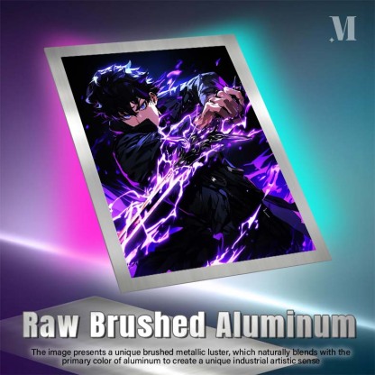 Solo Leveling Arise - Sung Jinwoo