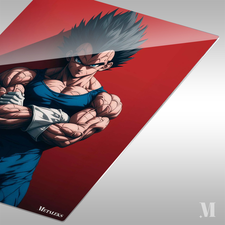 Vegeta-Dragon Ball Super Super Hero