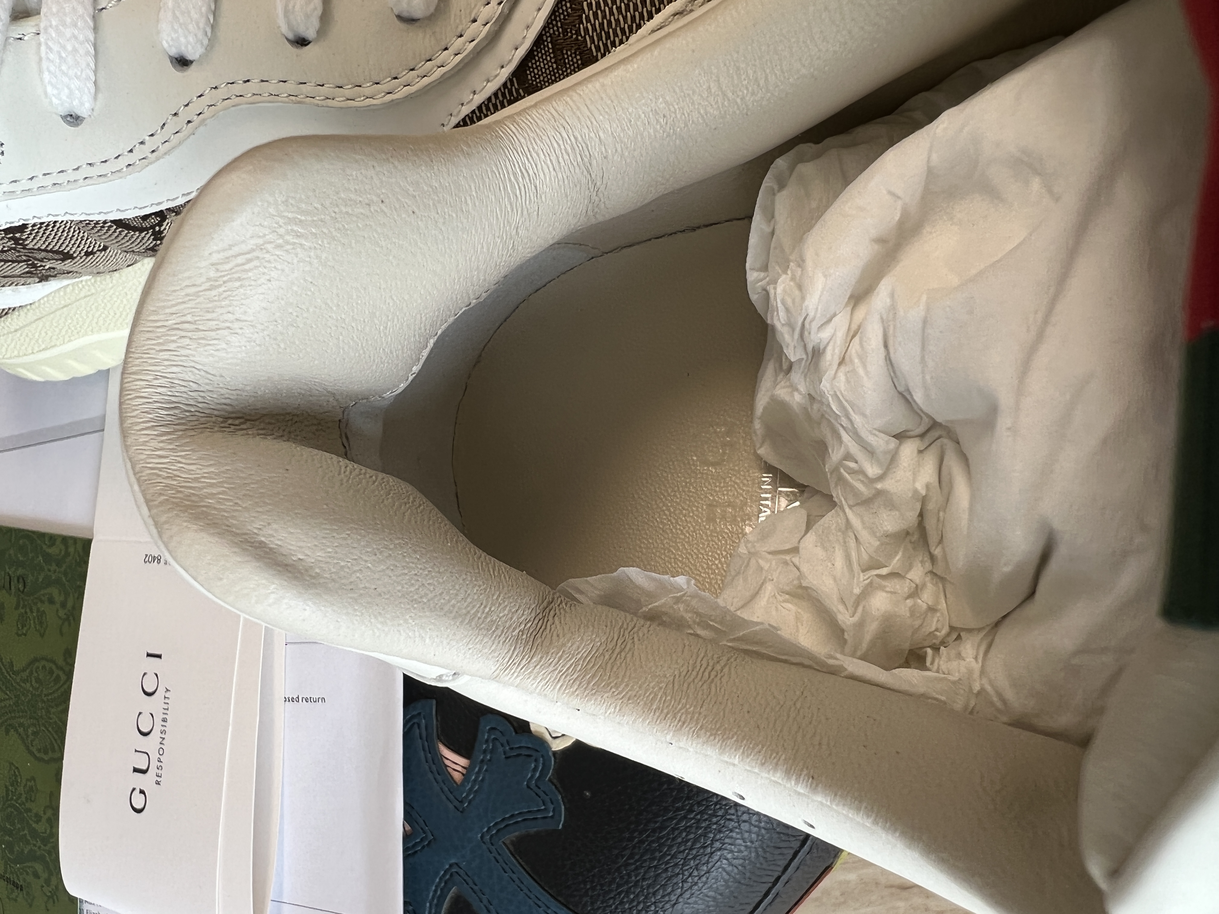 𝐆𝐮𝐜𝐜𝐢 𝐑𝐞-𝐖𝐞𝐛 As a sneaker made by Sabato De Sarno for Gucci