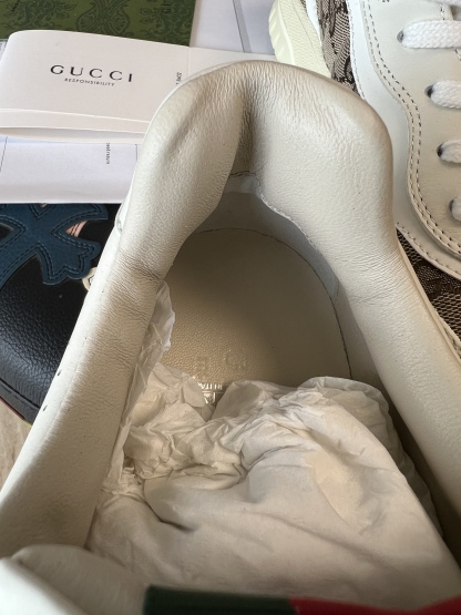 𝐆𝐮𝐜𝐜𝐢 𝐑𝐞-𝐖𝐞𝐛 As a sneaker made by Sabato De Sarno for Gucci