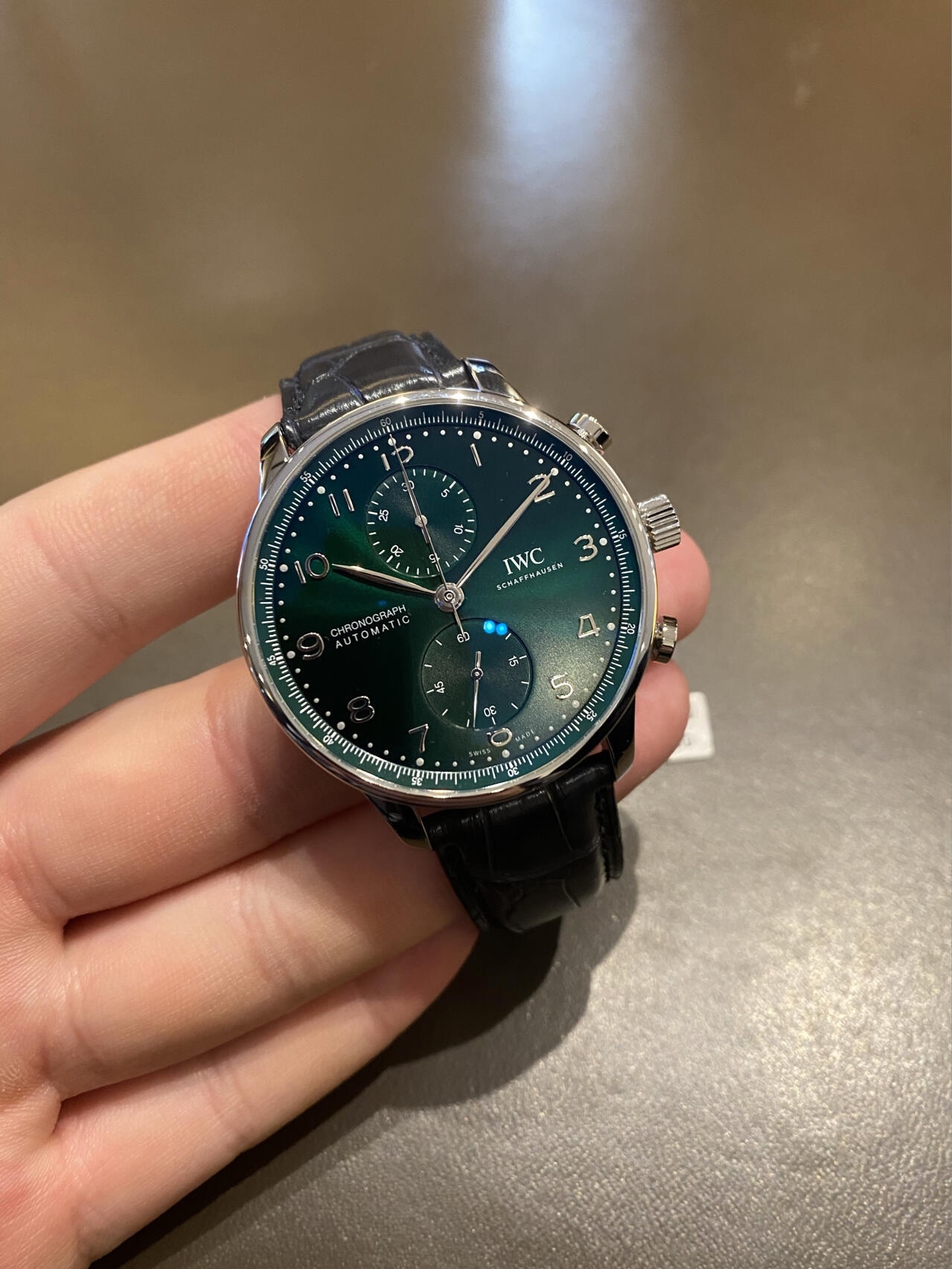 Green Portrait Plan     The only one I've ever been excited about this year