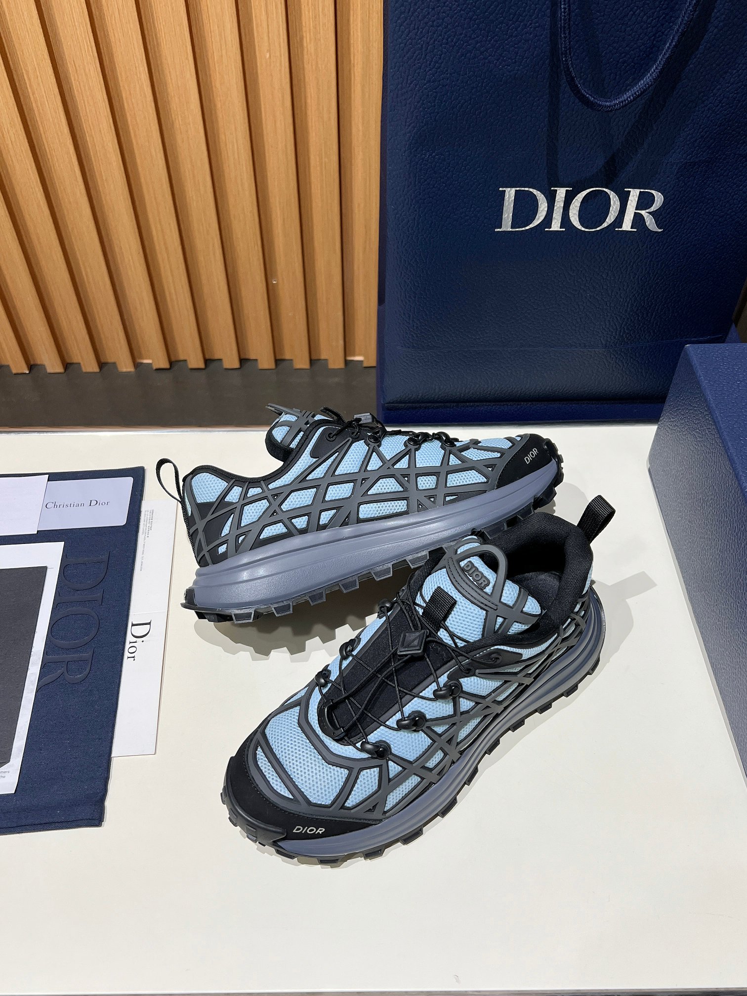 Top version Dior B31