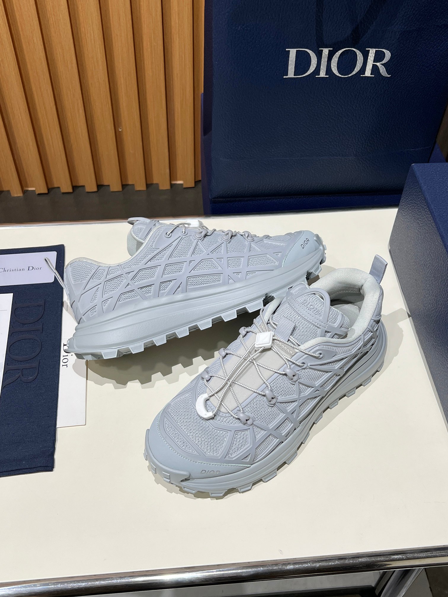 Top version Dior B31