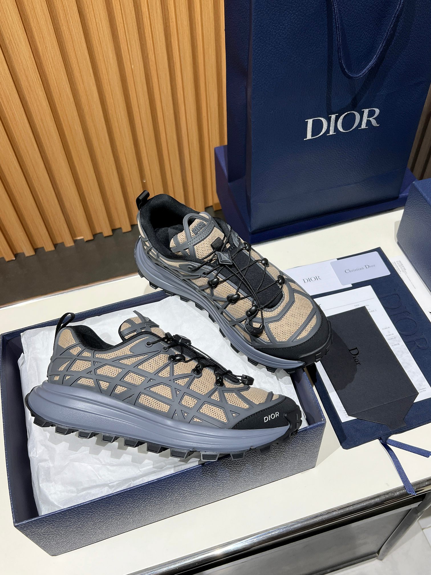 Top version Dior B31