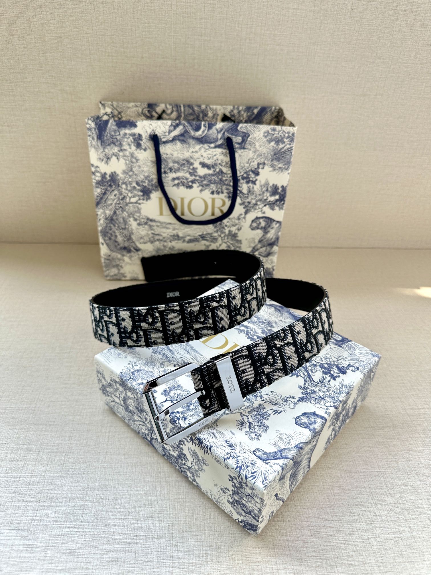 DIOR This belt is in black and super mini