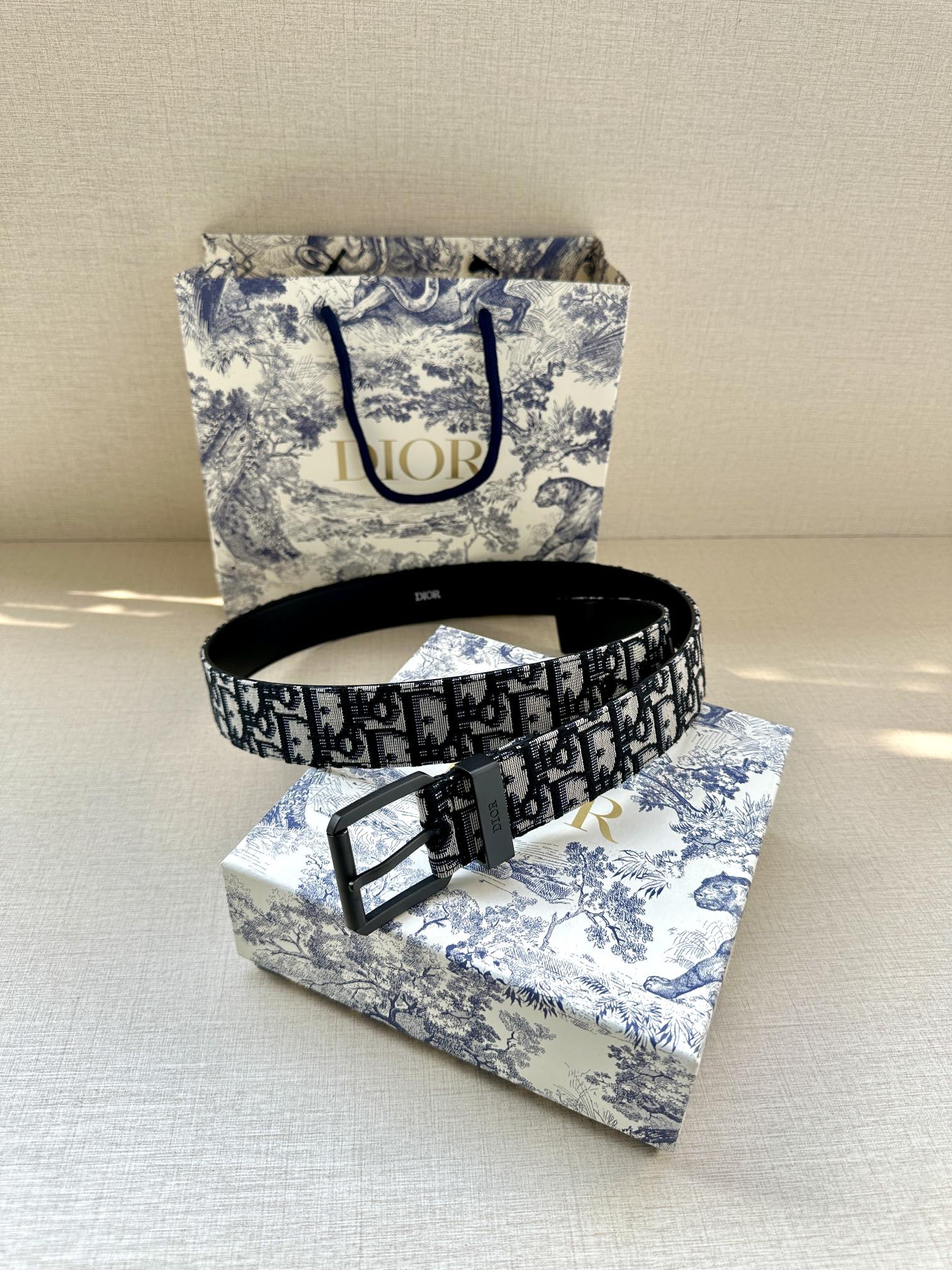 DIOR This belt is in black and super mini