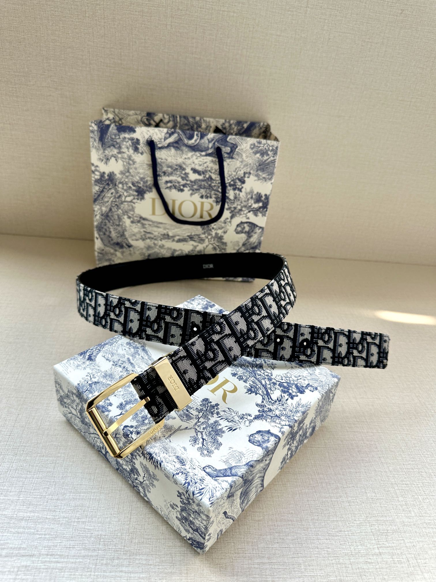 DIOR This belt is in black and super mini