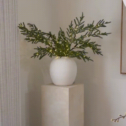 🎄Last Few Hours! 50% Hff!✨ Norfolk Pine Branch Lights 