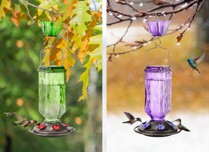 💥24oz Leak Proof Hummingbird Feeder with Ant Moat 💥Buy 3 Free Shipping🔥