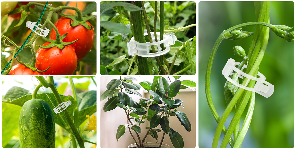 Tomato Clips, Plastic Trellis Clips