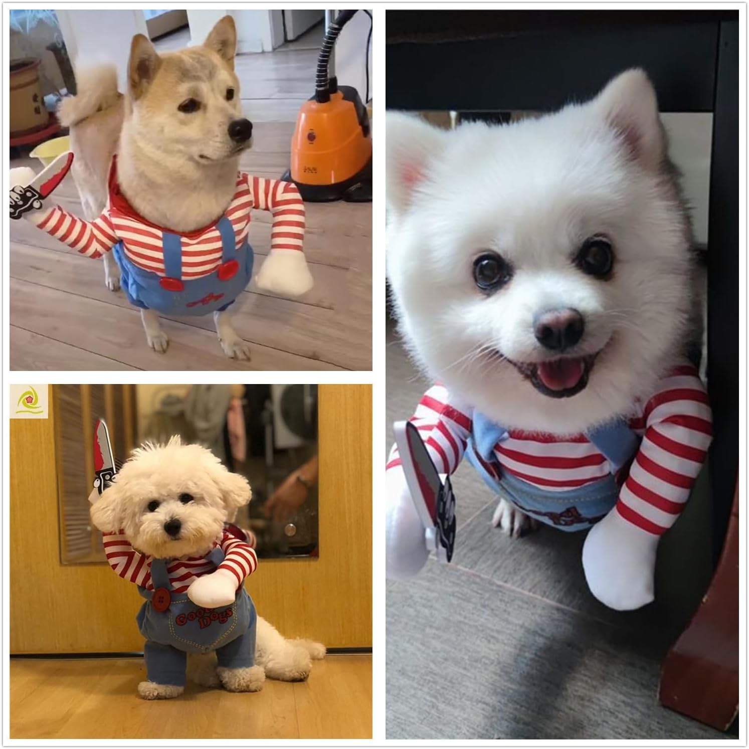 🎃Pre-Halloween Promotion🎃Dog Halloween Costume
