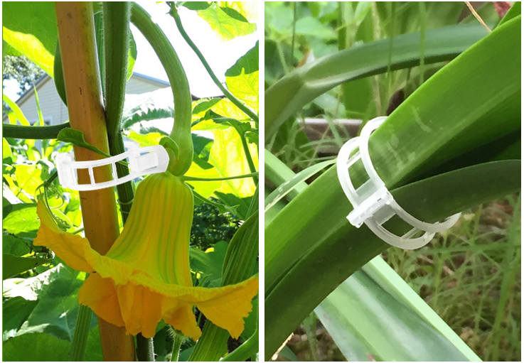 Tomato Clips, Plastic Trellis Clips
