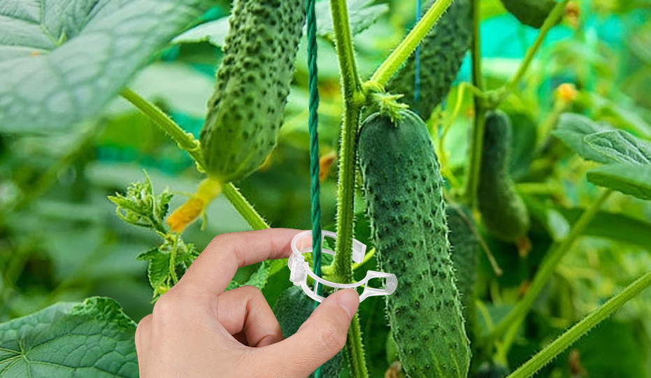 Tomato Clips, Plastic Trellis Clips
