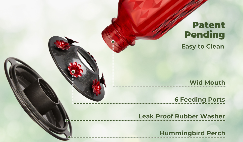 💥24oz Leak Proof Hummingbird Feeder with Ant Moat 💥Buy 3 Free Shipping🔥