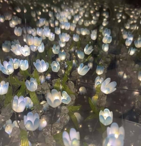 🌷Tulip Cube Mirror Lamp DIY Kit