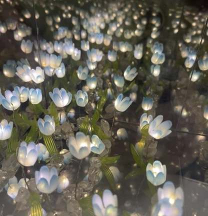 🌷Tulip Cube Mirror Lamp DIY Kit