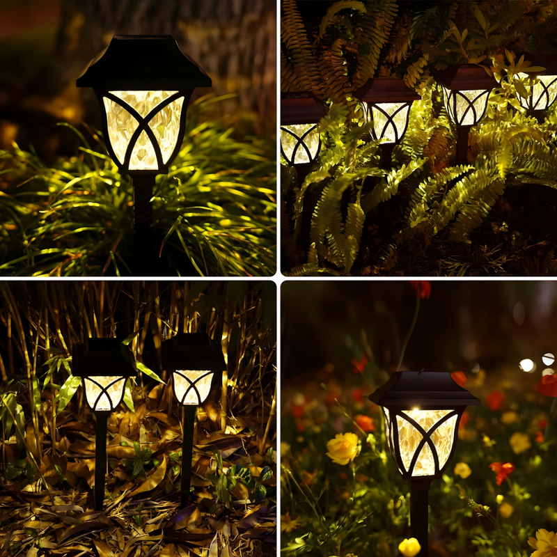 Solar Garden Lights