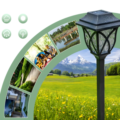 Solar Garden Lights