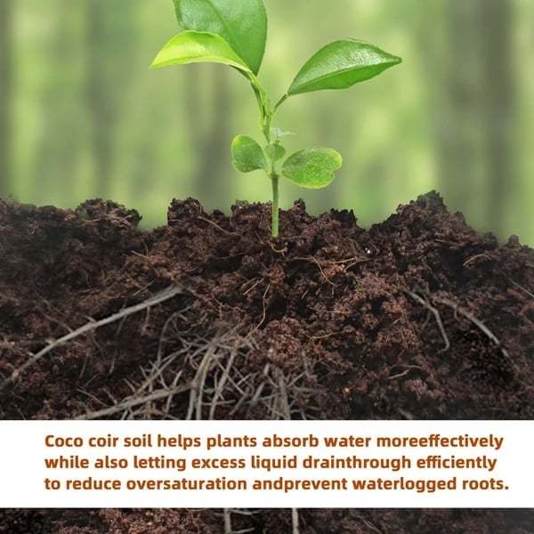 Organic Coconut Coir for Plants