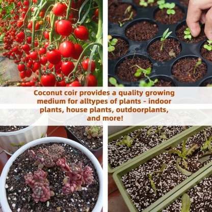 Organic Coconut Coir for Plants