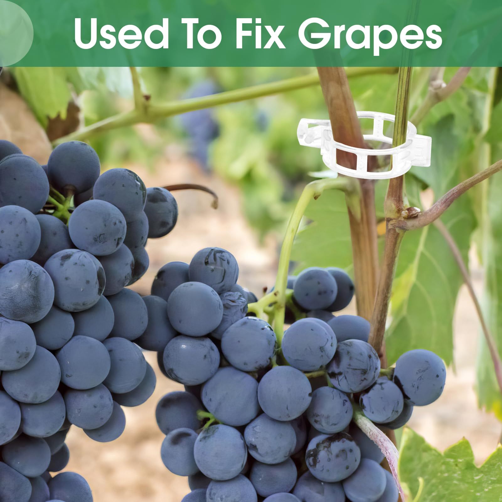 Tomato Clips, Plastic Trellis Clips