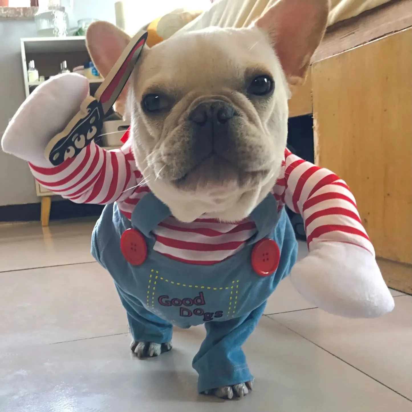 🎃Pre-Halloween Promotion🎃Dog Halloween Costume