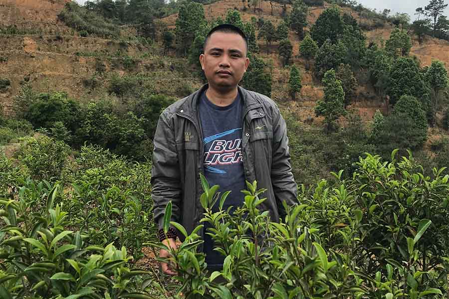a man stands in a tea field