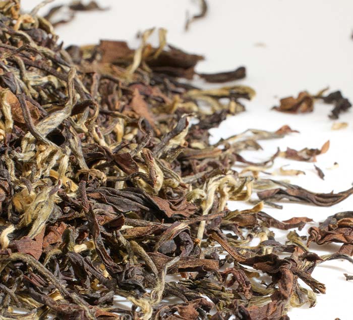 Origin Reserve Sampler