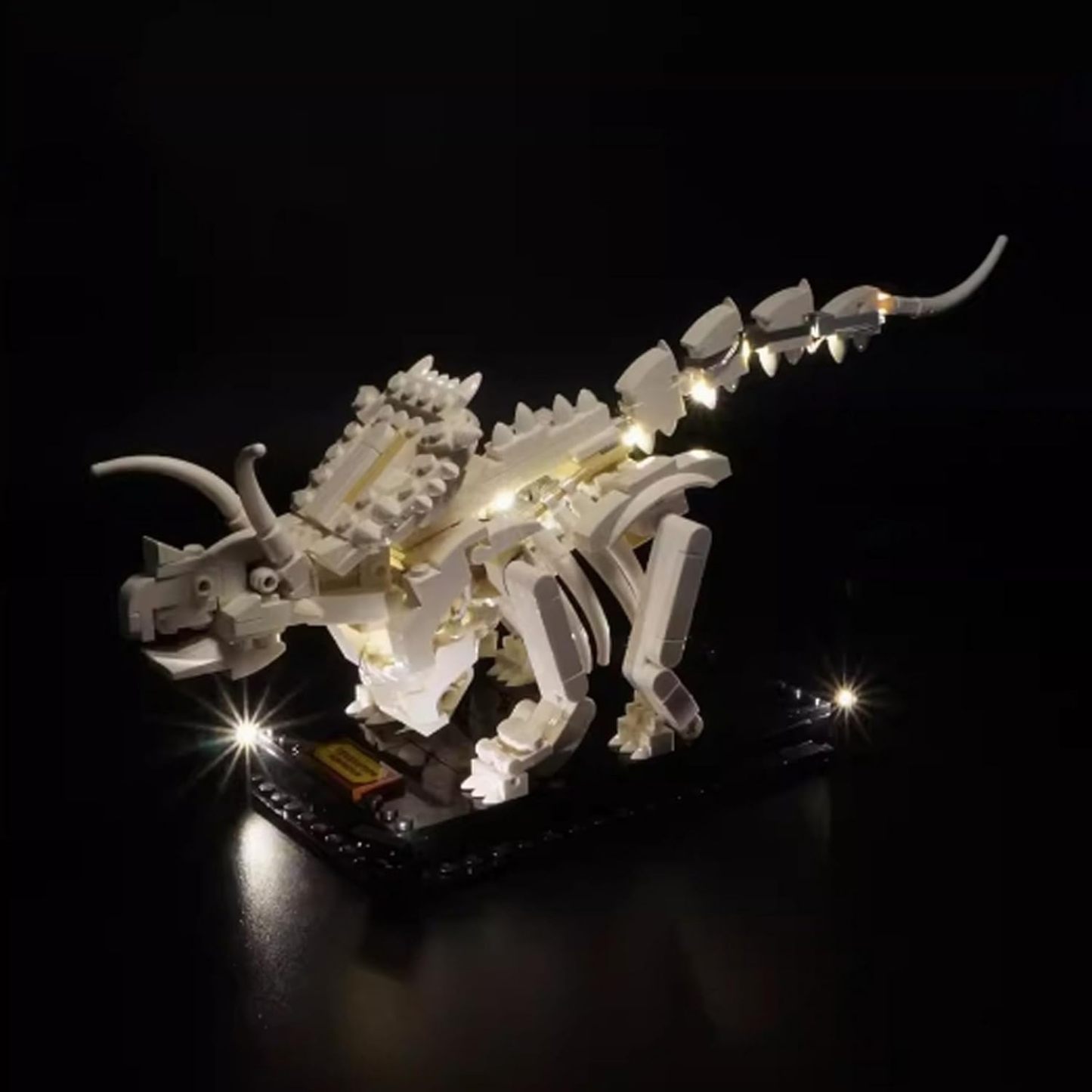 USB Light Kit for LEGO 21320 Dinosaur Fossils Construction