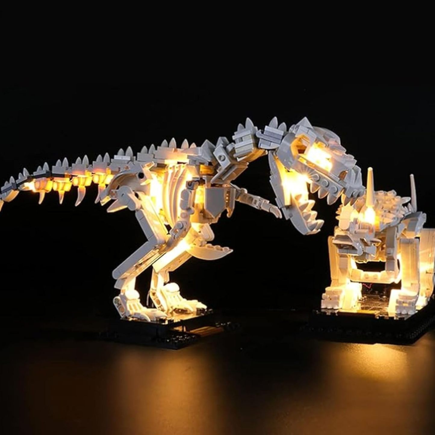 USB Light Kit for LEGO 21320 Dinosaur Fossils Construction