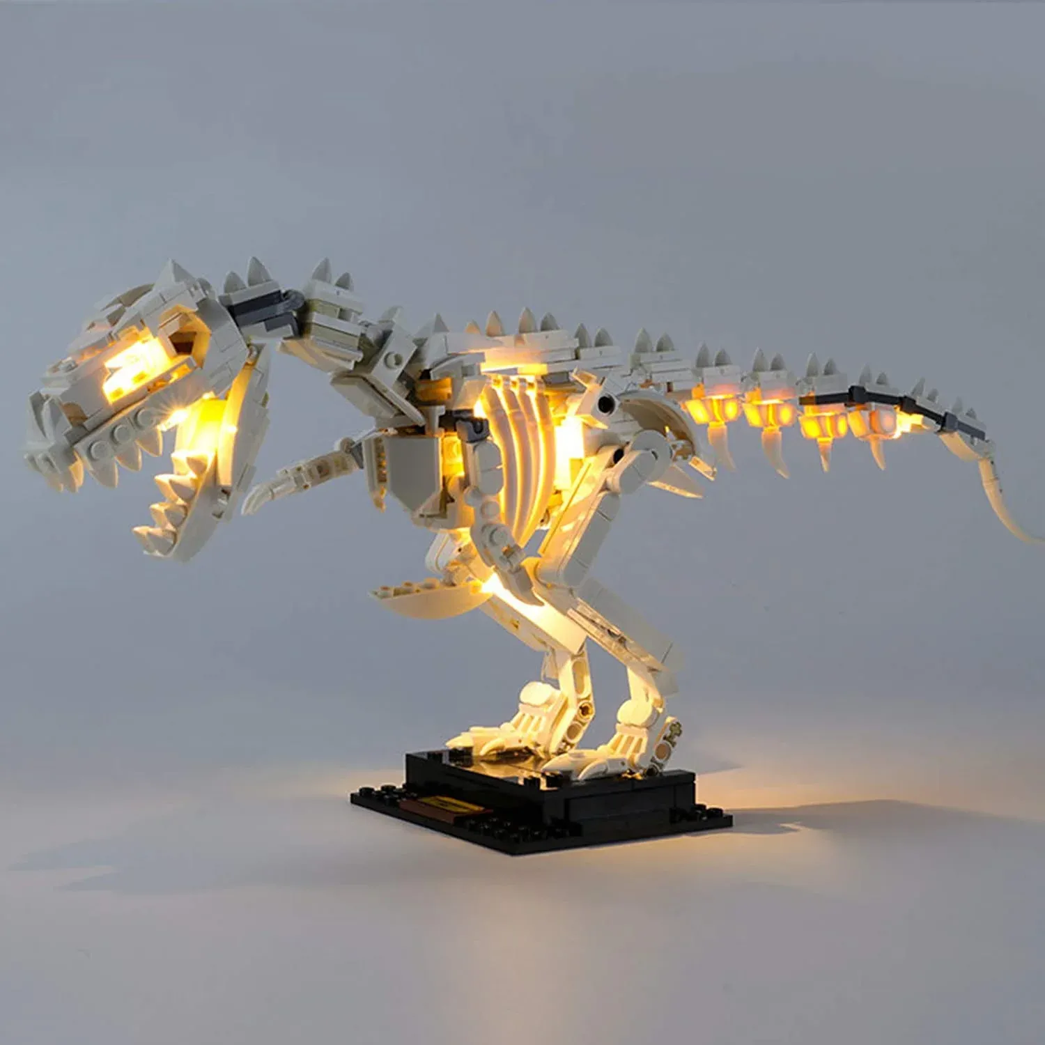 USB Light Kit for LEGO 21320 Dinosaur Fossils Construction