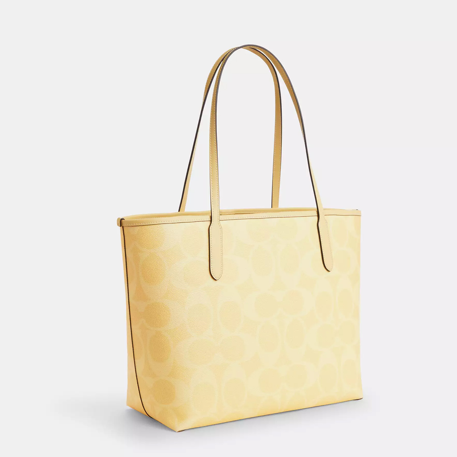 City Tote Bag In Signature Canvas