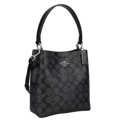 Coathtch Classic handbags