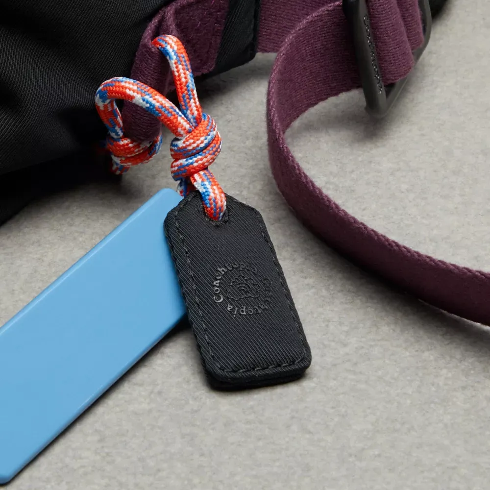 Coachtopia Loop Puffy Wavy Dinky Bag