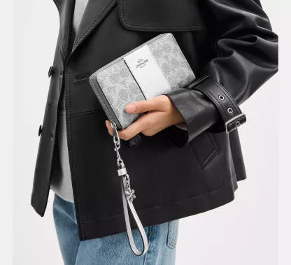 Boxed Long Zip Around Wallet In Signature Canvas